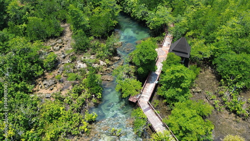 Drone View of Tha Pom Mangrove Path and Tropical Tree Roots, Klong Song Nam, Krabi, Thailand..