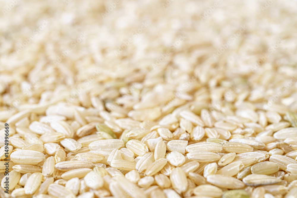 Obraz premium Full frame close up texture of brown rice for food and nutrition background healthy eating and cooking concept with copy space pattern of organic grains.