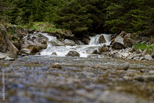 long exposure of a creek in the forest