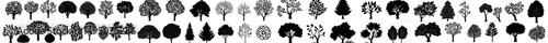 Modern illustration featuring silhouettes of decorative garden plants, including a set of bush and bare bush