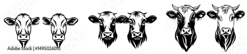 An illustration of two alpine cows in a modern hand drawn engraving style is presented