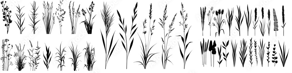 The illustration features a lush natural landscape with grass silhouettes in a modern design, isolated on a white background with a horizontal black contour, representing parks, meadows, and lawns The illustration features a lush natural landscape with grass silhouettes in a modern design, isolated on a white background with a horizontal black contour, representing parks, meadows, and lawns