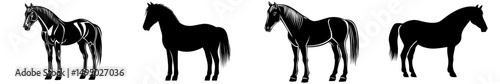 A minimalist equine illustration featuring a black horse silhouette on a white background, symbolizing majestic animal art, is ideal for various design applications