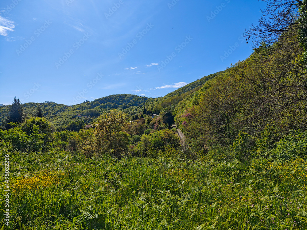 Obraz premium Charavgi, Pogoni, Epirus, Greece
