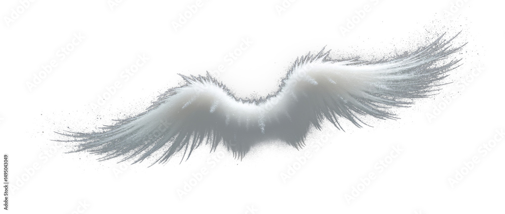Fototapeta premium Soft feather angel wings isolated on white or black background