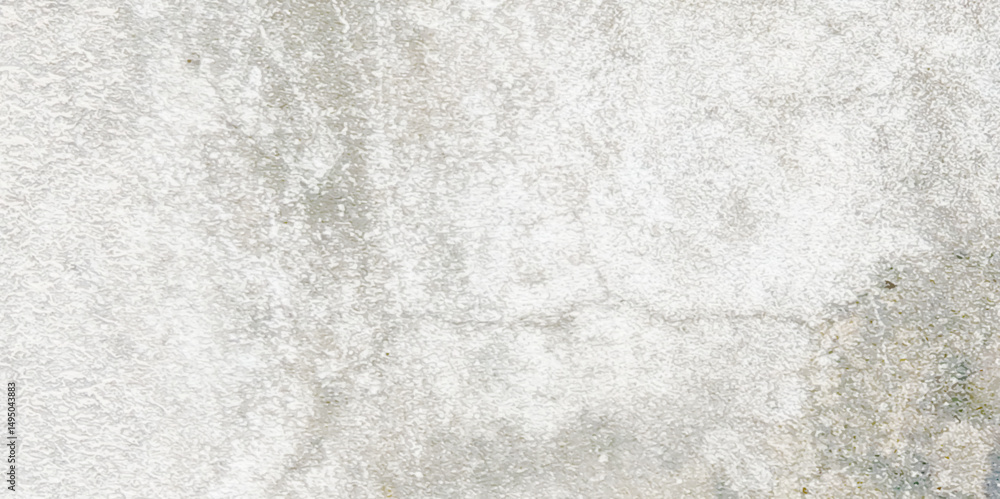 Fototapeta premium Abstract white grunge dust texture concrete wall on white background Vector for banner and business.