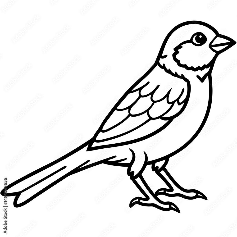 Obraz premium Enchanted Sparrow line art vector