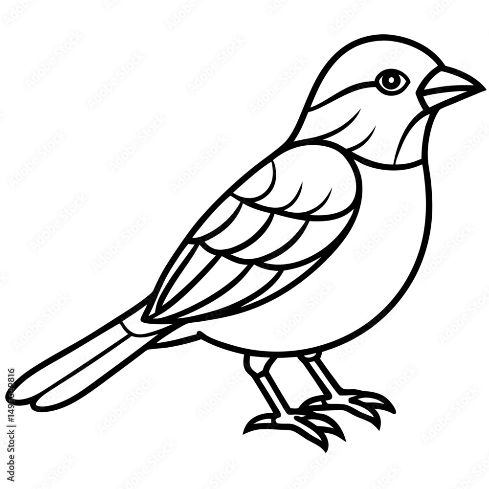 Obraz premium Enchanted Sparrow line art vector