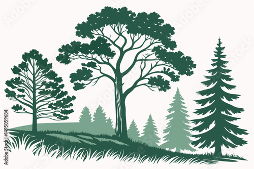 Simple flat forest flora, coniferous and deciduous meadow trees, oak pine Christmas tree isolated plants. Vector set illustration agricultural garden and nature park plant
