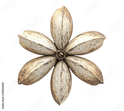 Wallpaper Mural almond on transparent background Torontodigital.ca