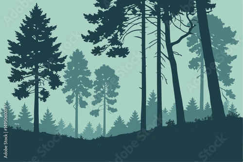 Pine Fir Forest Conifer Coniferous Tree Silhouette