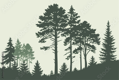 Pine Fir Forest Conifer Coniferous Tree Silhouette