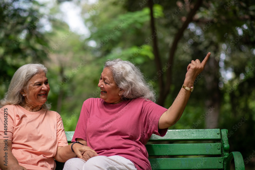 Fototapeta premium Indian senior women fun at park