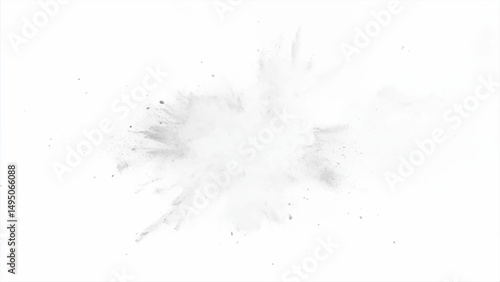 Vector white paint color powder festival explosion burst isolated white background. Abstract explosion white background.	

