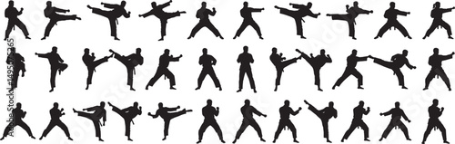 Karate martial arts poses silhouettes vectors training fighting self defense illustration design vector art