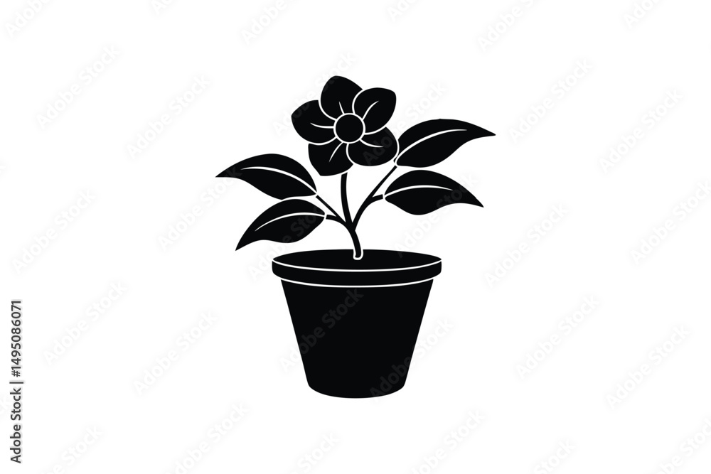 plant in pot plant in pot