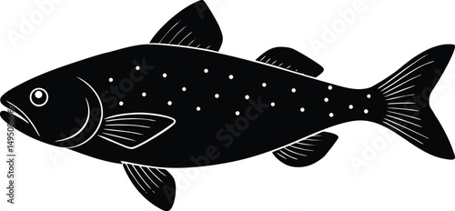 fish on a white background