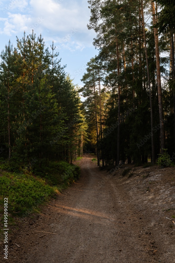 Fototapeta premium Green forests, Central European landscape