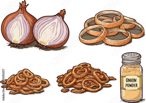 Onion and onion powder with crispy fried onion rings in various forms vector illustration 