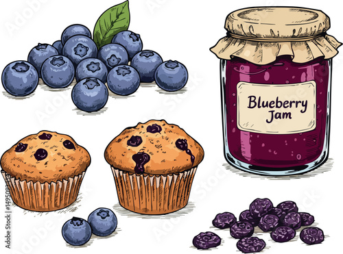 Blueberry fruit muffins jam hand drawn vector illustration fresh natural food dessert 