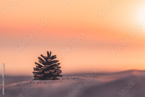 close up of a pine cone on a sand against sunset sky with pastel colors