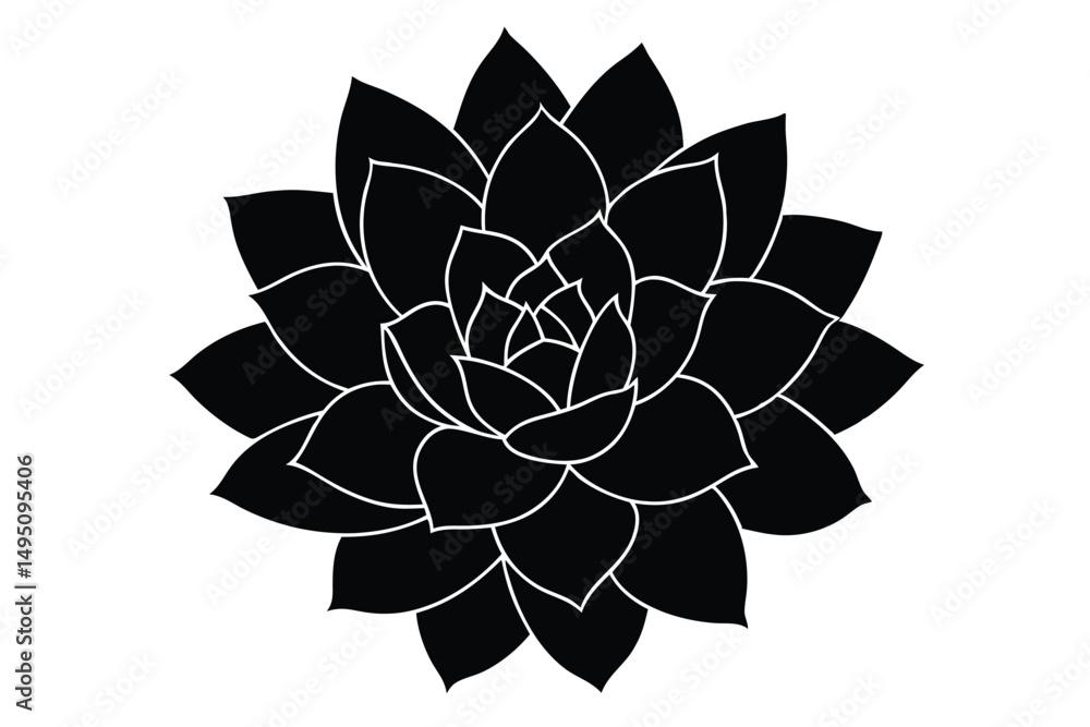 Fototapeta premium vector illustration of a flower