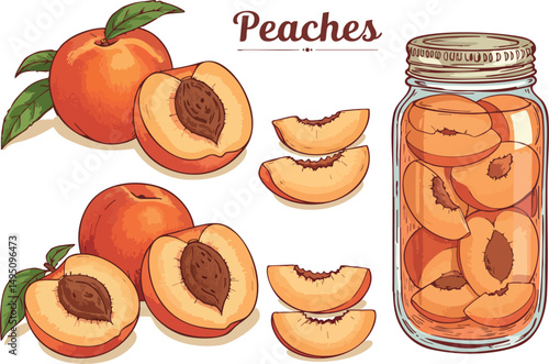 Peaches whole sliced and preserved in glass jar vector illustration natural fruit healthy food concept 