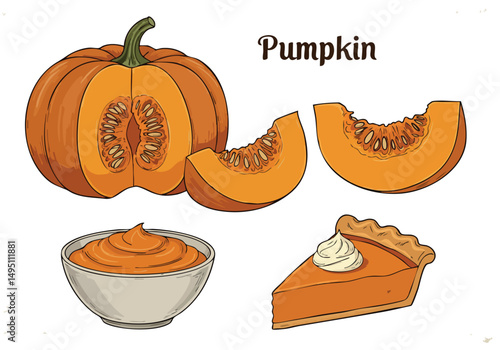 Pumpkin fruit with slices bowl of puree and slice of pie vector illustration 