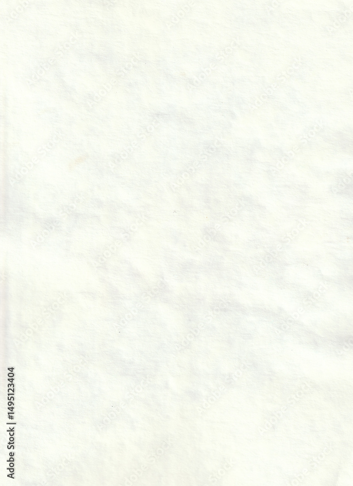 Fototapeta premium White Paper Texture