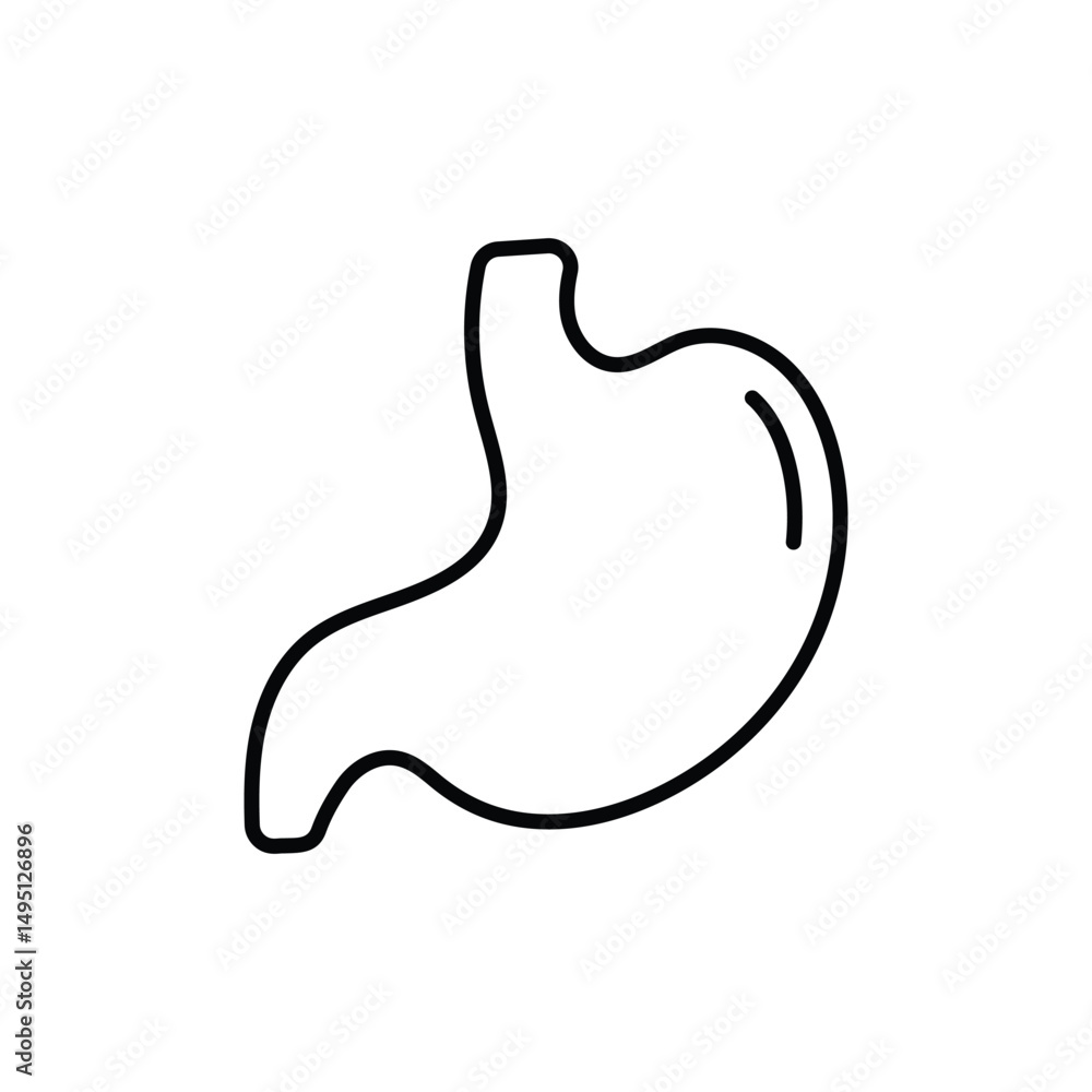Stomach Vector icon Stomach Vector icon