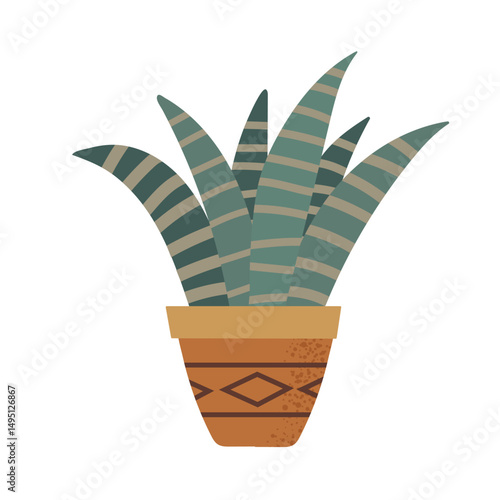 Succulent Haworthiopsis fasciata icon clipart avatar logotype isolated illustration