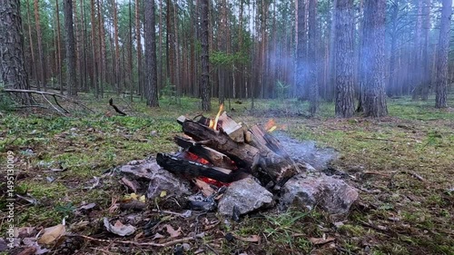A fire is burning in the forest