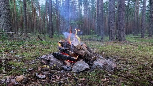 A fire is burning in the forest