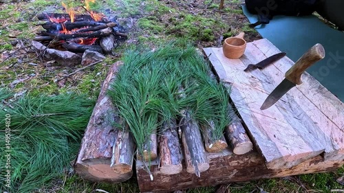 Lay spruce branches on a wooden surface in the forest