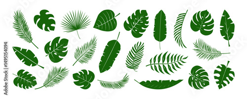 Palm leaf icon, tropic plant, cartoon jungle, green exotic coconut leaves, summer banana fern. Rainforest paradise foliage silhouette. Hawaii floral pattern isolated on white bg. Vector illustration