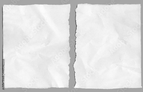 Ripped paper of torn edges isolated for crumpled poster texture, message, note, clipart.