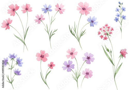 Watercolor floral pattern with pink and purple wildflowers on white background