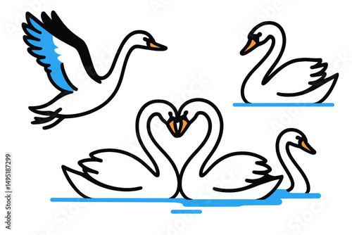 Modern vector illustration showcasing four swans in various poses highlighting their grace and beauty in a serene aquatic setting