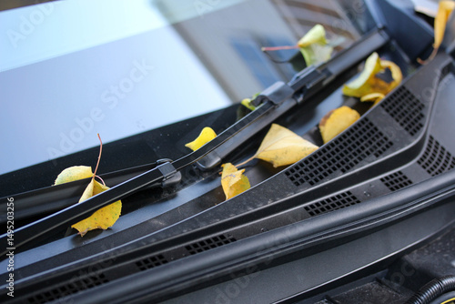 Autumn leaves on the windscreen wipers of a new car