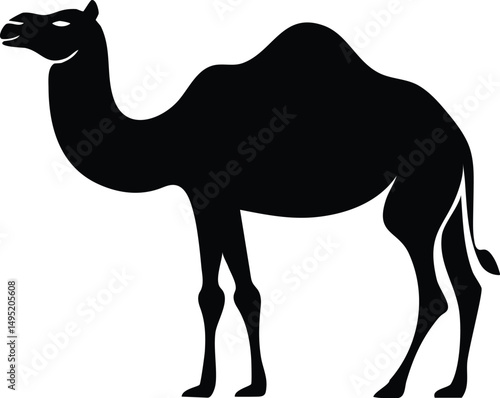 Black Silhouette of a Camel