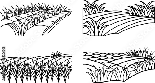 Set of rice field outline vector illustration, coloring book page