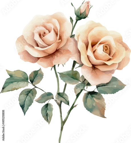 Classic vintage roses watercolor painting with soft pastel colors and delicate floral arrangement in artistic style - vector illustration