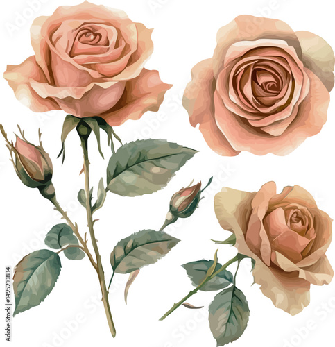Delicate vintage roses watercolor painting with soft pastel floral tones and elegant botanical design - vector illustration
