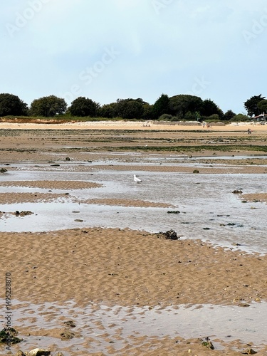 Pêche à pied au phare de Chauveau