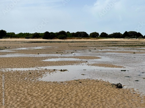 Pêche à pied au phare de Chauveau