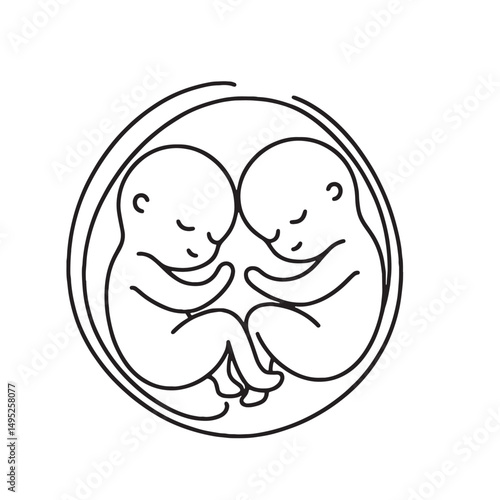 baby twins in womb  vector illustration simple one line drawing