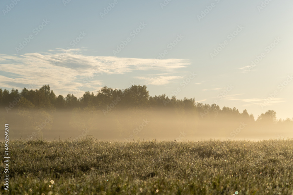 Golden sunrise through morning mist over dewy meadow and forest silhouette, peaceful natural landscape evoking calmness, clarity and new beginnings Golden sunrise through morning mist over dewy meadow and forest silhouette, peaceful natural landscape evoking calmness, clarity and new beginnings