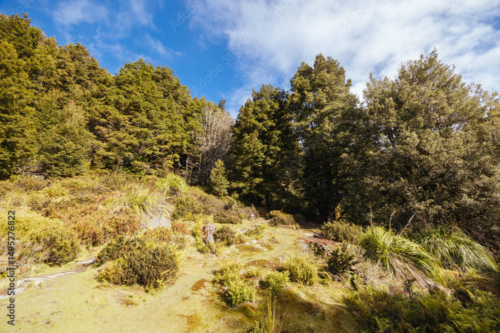 Du Cane Hut in Tasmania Australia Du Cane Hut in Tasmania Australia