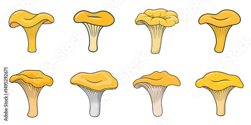 Vector illustration of multiple chanterelles, outline