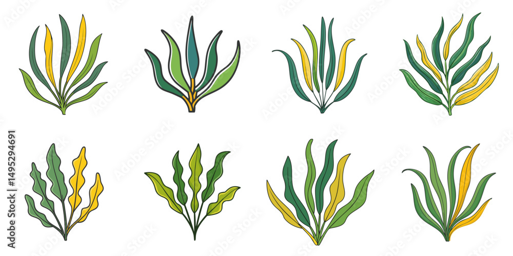 Multiple kelp vector illustrations, outlines Multiple kelp vector illustrations, outlines